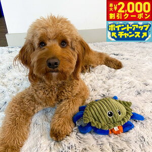 yő2000~OFFN[|IX|Cgő62{I{Izg[ eCY TALL TAILS tbv gC Nu   ʂ  Jj drsgp TXeBiu