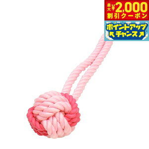 yő2000~OFFN[|IX|Cgő62{I{Izo[cCXg{[ [vt sN