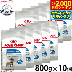 yő2000~OFFN[|IX|Cgő62{I{IzCJi  hbOt[h P[iCPAj[gV GNXg X[ Cg EFCg PA 800g×10 K