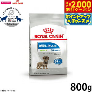 yő2000~OFFN[|IX|Cgő62{I{IzCJi  hbOt[h P[iCPAj[gV GNXg X[ Cg EFCg PA 800g Ki 