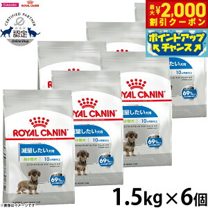 yő2000~OFFN[|IX|Cgő62{I{IzCJi  hbOt[h P[iCPAj[gV GNXg X[ Cg EFCg PA 1.5kg×6 K