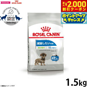 yő2000~OFFN[|IX|Cgő62{I{IzCJi  hbOt[h P[iCPAj[gV GNXg X[ Cg EFCg PA 1.5kg Ki 