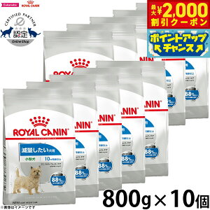 yő2000~OFFN[|IX|Cgő62{I{IzCJi  hbOt[h P[iCPAj[gV ~j Cg EFCg PA 800g×10 Ki ʂ