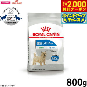 yő2000~OFFN[|IX|Cgő62{I{IzCJi  hbOt[h P[iCPAj[gV ~j Cg EFCg PA 800g Ki ʂp 