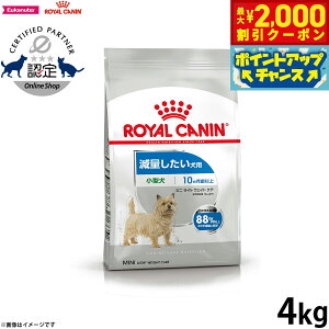 yő2000~OFFN[|IX|Cgő62{I{IzCJi  hbOt[h P[iCPAj[gV ~j Cg EFCg PA 4kg Ki ʂp 