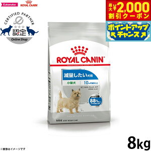 yő2000~OFFN[|IX|Cgő62{I{IzCJi  hbOt[h P[iCPAj[gV ~j Cg EFCg PA 8kg Ki ʂp 