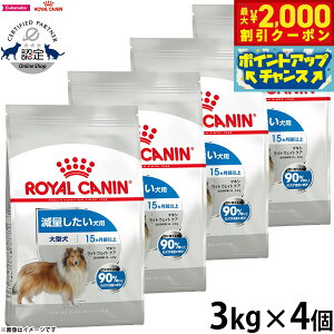 yő2000~OFFN[|IX|Cgő62{I{IzCJi  hbOt[h P[iCPAj[gV }LV Cg EFCg PA 3kg×4 Ki ʂ