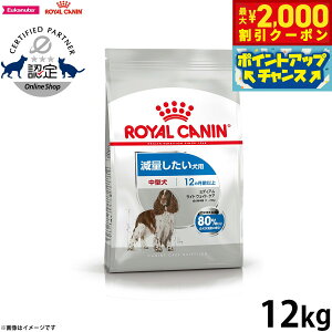 yő2000~OFFN[|IX|Cgő62{I{IzCJi  hbOt[h P[iCPAj[gV ~fBACgEFCg PA 12kg Ki ʂ