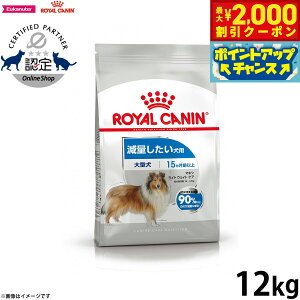 yő2000~OFFN[|IX|Cgő62{I{IzCJi  hbOt[h P[iCPAj[gV }LVCgEFCg PA 12kg Ki ʂp 