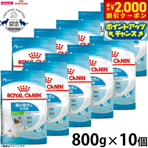 yő2000~OFFN[|IX|Cgő62{I{IzCJi  hbOt[h TCYwXj[gV GNXg X[ ps[ 800g×10 Ki ^p