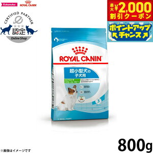 yő2000~OFFN[|IX|Cgő62{I{IzCJi  hbOt[h TCYwXj[gV GNXg X[ ps[ 800g Ki ^pt[h