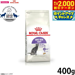 yő2000~OFFN[|IX|Cgő62{IX[p[SALEIzCJi L Lbgt[h tB[CwXj[gV XeACYh 400g Ki D ő₷