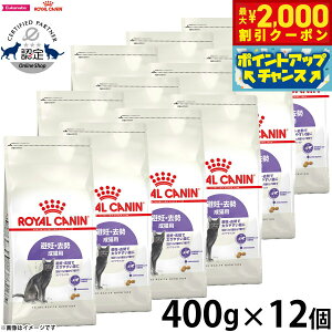 yő2000~OFFN[|IX|Cgő62{IX[p[SALEIzCJi L Lbgt[h tB[CwXj[gV XeACYh 400g×12 Ki D ő