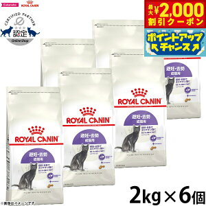 yő2000~OFFN[|IX|Cgő62{IX[p[SALEIzCJi L Lbgt[h tB[CwXj[gV XeACYh 2kg×6 Ki D ő