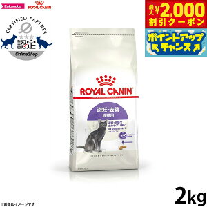 yő2000~OFFN[|IX|Cgő62{IX[p[SALEIzCJi L Lbgt[h tB[CwXj[gV XeACYh 2kg Ki D ő₷