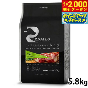 yő2000~OFFN[|IX|Cgő62{I{IzK RIGALO hbOt[h nCveCVs 7Έȏp  5.8kg  hCt[h h{H Y sgp OC