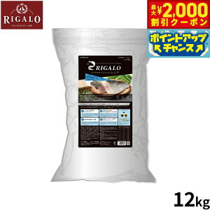 yő2000~OFFN[|IX|Cgő62{I{IzK hbOt[h nCveCVs 7Έȏ tBbV 12kgyz sgp Y i`t[h 