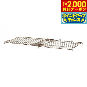 yő2000~OFFN[|IX|Cgő62{IX[p[SALEIzb`F Richell ؐXChybgT[N Ch   T[N p[c ̂ P[W  яoh~ 