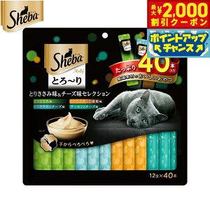 yő2000~OFFN[|IX|Cgő62{I{IzV[o Lp Ƃ` eB Ƃ肳ݖ`[YZNV 12g×40{ }[XWp Lbgg[c