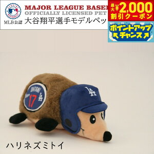 yő2000~OFFN[|IX|Cgő62{I{IzMLB T[X hW[X JĕI胂f p nlY~ gC W[[O hbOgC 