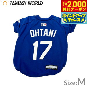 yő2000~OFFN[|IX|Cgő62{I{IzMLBF T[X hW[X JĕI胂f TVc M u[yz  m hbOEFA jtH[ 