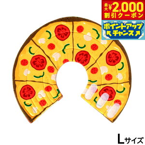 yő2000~OFFN[|IX|Cgő62{I{IzSolgra sU y[uJ[ L IW GUxXJ[  L \tg _炩