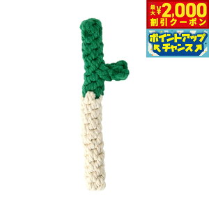 yő2000~OFFN[|IX|Cgő62{I{Iz\O Solgra ̂ ˂[vgC zCg