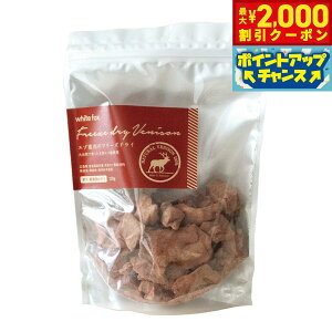 yő2000~OFFN[|IX|Cgő62{I{IzzCgtHbNX G]̃t[YhC 120g  L  育 gbsO Y Y F ۑsgp