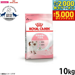 �y�ő�5000pt�o�b�N���ő�2000�~OFF�N�[�|���I15���܂ŁI�z���C�����J�i�� �L �L���b�g�t�[�h �t�B�[���C���w���X�j���[�g���V���� �L�g�� 10kg ���K�i ��������̎q�L��p�t�[�h