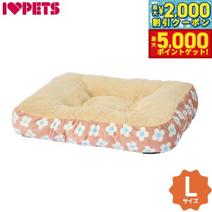 y1310Iő5000ptobNő2000~OFFN[|Iz{rAR XNGANbV L t[uEyz tbgxbh XNGAxbh g