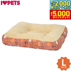 y1310Iő5000ptobNő2000~OFFN[|Iz{rAR XNGANbV L [tuEyz tbgxbh XNGAxbh g