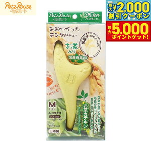 y1310Iő5000ptobNő2000~OFFN[|Izybc[g p Ăf^`[  M ^ ^