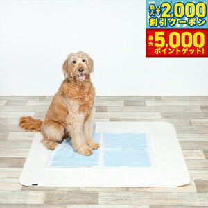 �y13��10������I�ő�5000pt�o�b�N���ő�2000�~OFF�N�[�|���I�z�n�b�s�[�f�C�Y HappyDays �􂦂���L�h���V�[�g L �� �L ���L �R�� �h�� ���Y �g�C�� �������� ���� �ې�OK