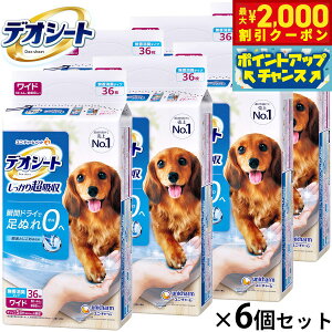 �y�ő�2000�~OFF�N�[�|���I���X���|�C���g�ő�54�{�I�{������I�z���j �`���[�� �f�I�V�[�g �������蒴�z�� �������L�^�C�v ���C�h 36����×6�Z�b�g �y�b�g�V�[�c �g���C�V�[�c ���p