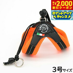 �y�ő�2000�~OFF�N�[�|���I���X���|�C���g�ő�54�{�I�{������I�z�g���|���e�B TREPONTI ���x���^ �\�t�g���b�V�� ���^���p�n�[�l�X 3�� �I�����W