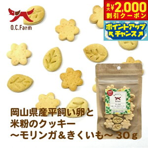 �y�ő�2000�~OFF�N�[�|���I���X���|�C���g�ő�54�{�I�{������I�z�I�[�V�[�t�@�[�� ���p������������ƕĕ��̃N�b�L�[ �������K���L�N�C�� 30g ���Y ���Y��