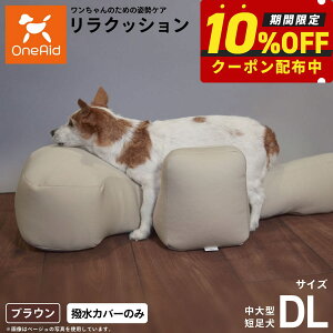 yő2000~OFFN[|IX|Cgő62{IX[p[SALEIzOneAid NbVpJo[ P DLyz p  pi xbh p ^Zp