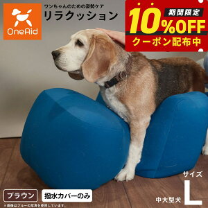 yő2000~OFFN[|IX|Cgő62{IX[p[SALEIzOneAid NbVpJo[ P L p  pi xbh p ^E^p