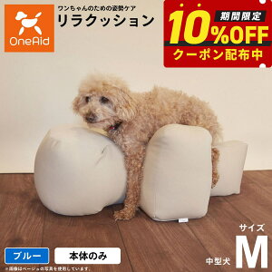 y2000~OFFN[|IGg[Ń|Cg+20{I{IzNbV ybg M u[ OneAid p  pi xbh p蒆^p