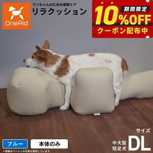 yő2000~OFFN[|IX|Cgő62{IX[p[SALEIzNbV ybg DL u[OneAid p  pi xbh p蒆^Zp