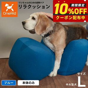 yő2000~OFFN[|IX|Cgő62{IX[p[SALEIzNbV ybg L u[ OneAid p  pi xbh p蒆^`^p