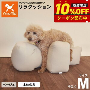 yő2000~OFFN[|IX|Cgő62{IX[p[SALEIzNbV ybg M x[W OneAid p  pi xbh p ^p