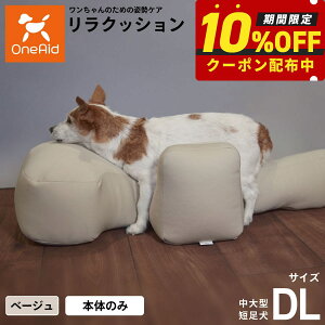 yő2000~OFFN[|IX|Cgő62{IX[p[SALEIzNbV ybg DL x[W OneAid p  pi xbh p ^Zp