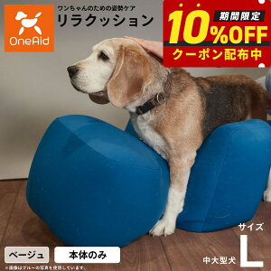 y2000~OFFN[|IGg[Ń|Cg+20{I{IzNbV ybg L x[W OneAid p  pi xbh p ^`^p