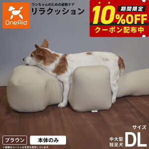 yő2000~OFFN[|IX|Cgő62{IX[p[SALEIzNbV ybg DL uE OneAid p  pi xbh p ^Zp