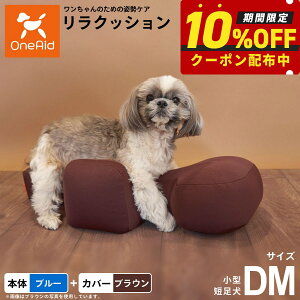 yő2000~OFFN[|IX|Cgő62{IX[p[SALEIzOneAid NbV Jo[Zbg DM u[yz p  pi xbh p ^Zp