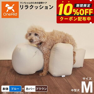 yő2000~OFFN[|IX|Cgő62{IX[p[SALEIzOneAid NbV Jo[Zbg M u[yz p  pi xbh p ^p