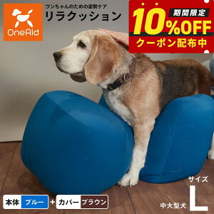 yő2000~OFFN[|IX|Cgő62{IX[p[SALEIzOneAid NbV Jo[Zbg L u[yz p  pi xbh p ^?^p