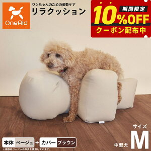 yő2000~OFFN[|IX|Cgő62{IX[p[SALEIzOneAid NbV Jo[Zbg M x[Wyz p  pi xbh p ^p