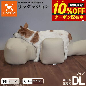 yő2000~OFFN[|IX|Cgő62{IX[p[SALEIzOneAid NbV Jo[Zbg DL x[Wyz p  pi xbh p ^Zp